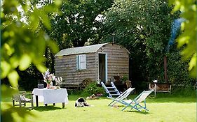 Mollies Hut